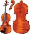 Core Academy Violin OUTFIT, model A14