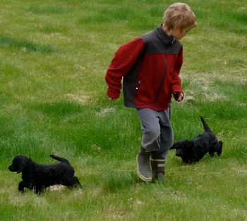 Grandson Ethan romping with the pups.
