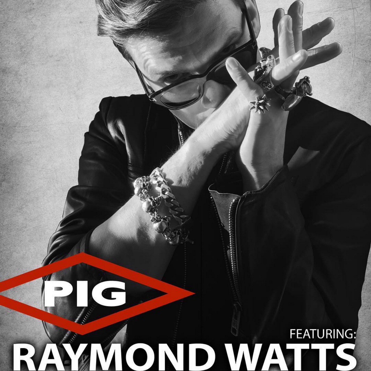 OFFICIAL SITE of <PIG>, Raymond Watts' industrial rock band