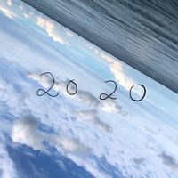 2020 by Laura Meyer | Cygne