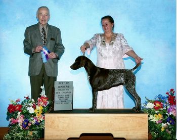 NEW CHAMPION * 3 Point Major from the Bred-By Class in Hattiesburg, MS

