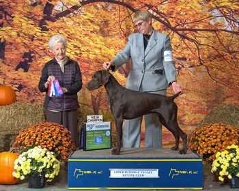 GCH Refleksion's Redclay I Walk The Line "Cash"
