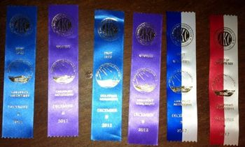 Win ribbons from 8 & 9 Dec 2012
