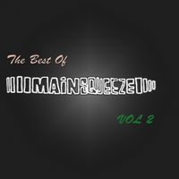 The Best of Mainsqueeze Vol 2 by Various 
