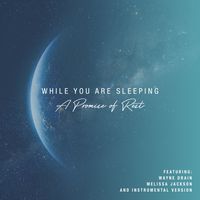 While You Are Sleeping by Wayne Drain