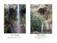 Ein Gedi poster package