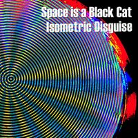 Isometric Disguise by Space is a Black Cat