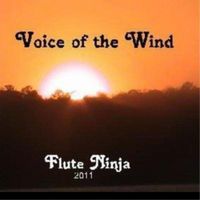 Voice of the Wind by Flute Ninja