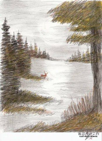 色鉛筆の芸術 鹿 Colored pencil art - Deer
