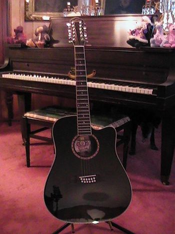 Washburn 12 String 2004
