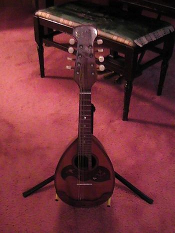 Avia Mandolin
