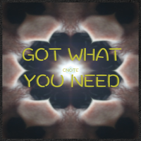 GOT WHAT YOU NEED by CΠΩTΣ