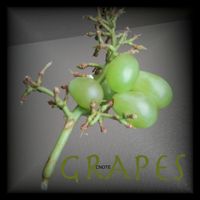 GRAPES by CΠΩTΣ
