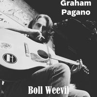 Boll Weevil by Graham Pagano