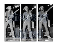Bruce Springsteen Triptych - photos by kid red