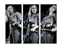 Ronnie Van Zandt Triptych - Photos by kid red