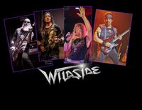 Wildside ROCKS Skybox!