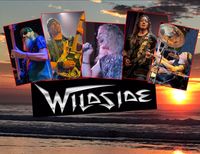 Wildside LIVE at Wally's!