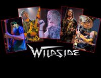 Wildside LIVE at The Boat!