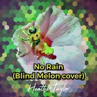 No Rain by Heather Taylor 