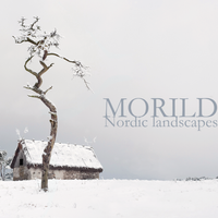 Nordic landscapes by Morild
