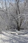 "Of Warmer Days" -- Concert Band