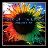 Peak of the Bloom, a celebration of the art of nature 