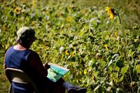 Peak of the Bloom: Plein Air Painting Excursion at Camp Creek State Park