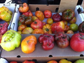 Ojai Farmers Market
