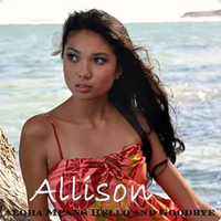 Aloha Means Hello and Goodbye  by Allison Chu