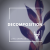 Decomposition // Sample Pack