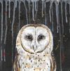 The Owl : CD