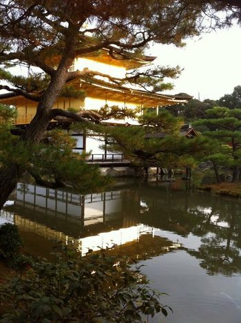 Golden Temple, Kyoto

