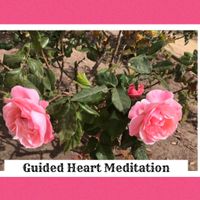 ❤️Guided Heart Meditation❤️ by Kana Koinuma