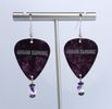 Guitar Pick Earrings - Crystal Circles