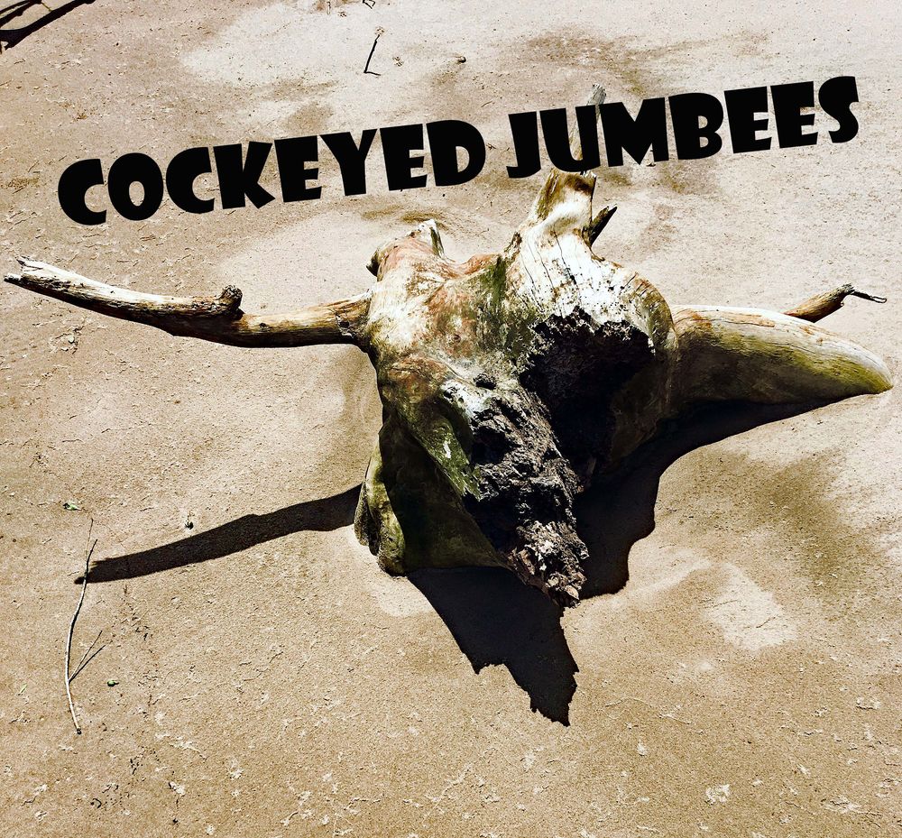Cockeyed Jumbees is a 'Ghost Band' where the musicians remain anonymous but plays for the love of music. Songs are written by Rory Jagdeo