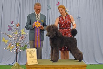 Friday's Daughter Wednesday woinning REserve Best in Show
