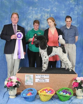 Total Dog Award for obedience and Best in Show!
