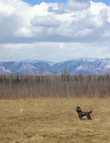 Spirit hunting in Alaska
