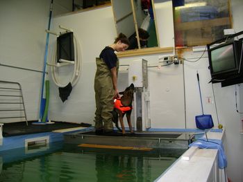 Fox 7.5 mons, going down on the mechanical lift into the water
