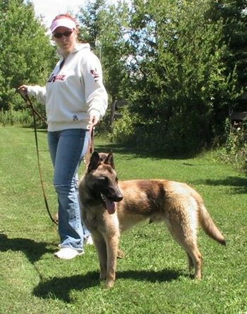 Gator, 10 months, out for a walk with owner Penny.
