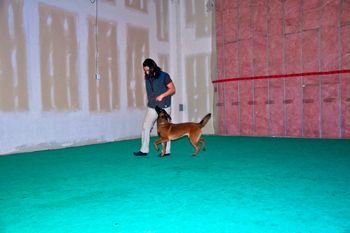 Heeling with Angela at our brand new training facility.
