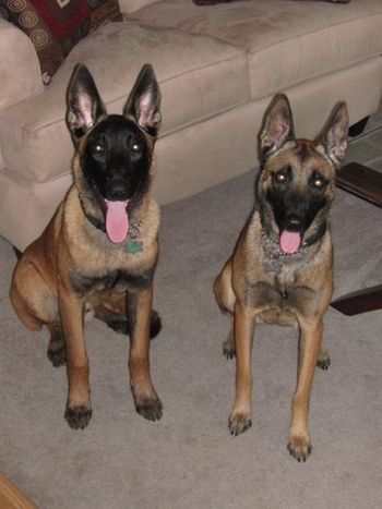 "Triton" at 6 months and "Aria"
