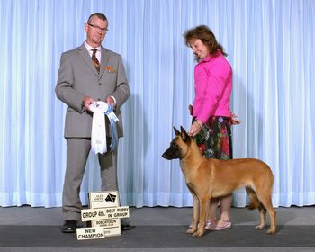 Bolt at 10 months. Best of Breed, Group 4th and Best Puppy in Group. A big thank you to Handler and Friend Lynn Doel - who handled Bolt to her Championship.
