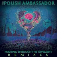 Pushing Through the Pavement (Remixes) by The Polish Ambassador