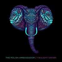 Twilight Safari by The Polish Ambassador