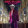 Andre Williams "Don't Ever Give Up" CD