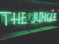 The Trusted Live Jungle Bar