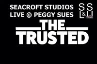 The Trusted Unplugged Q&A Seacroft Studios