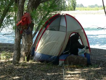 Papa Bear said "Goldilocks didn't leave much to eat in her tent"
